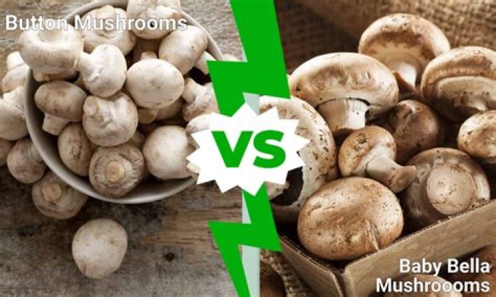 Are baby bella mushrooms bad for you