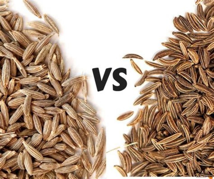 Are cumin seeds the same as caraway seeds