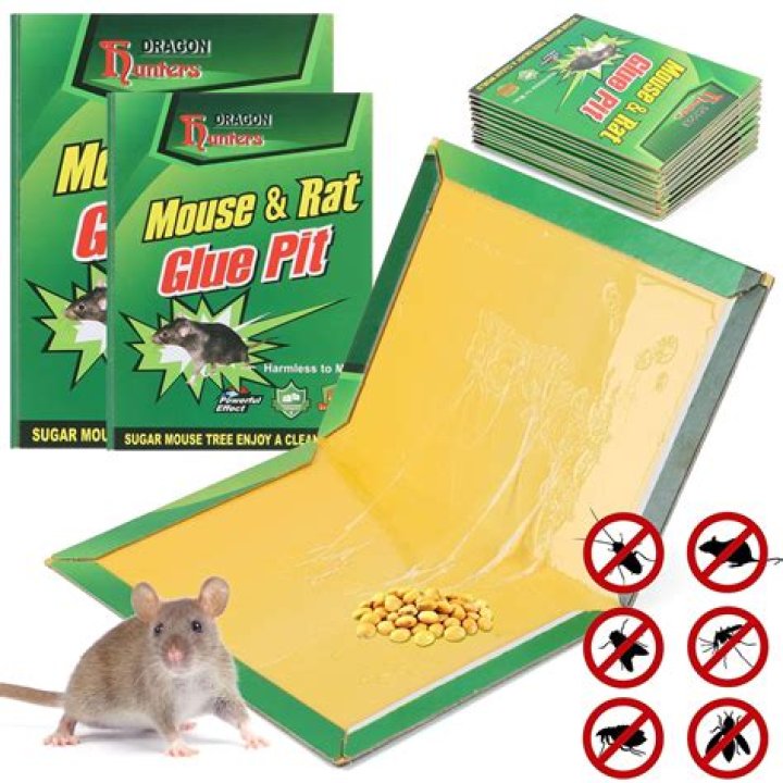Are glue mouse traps effective
