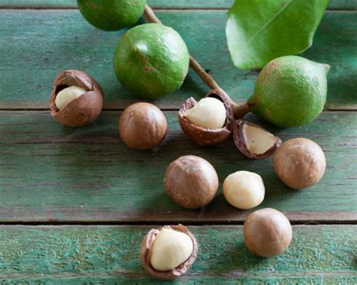 Are macadamias native to Australia