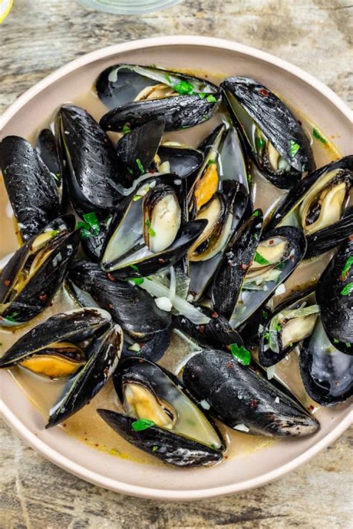 Are mussels primary consumers