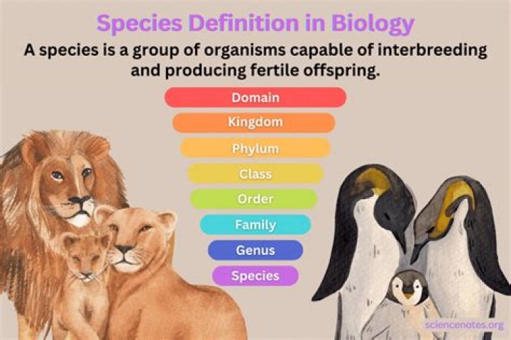 Are species fixed