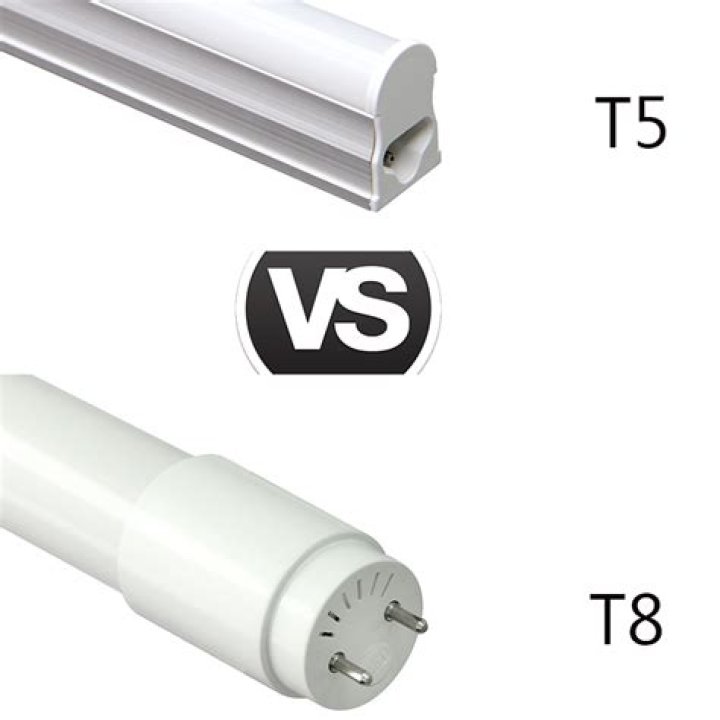 Are t5 brighter than t8