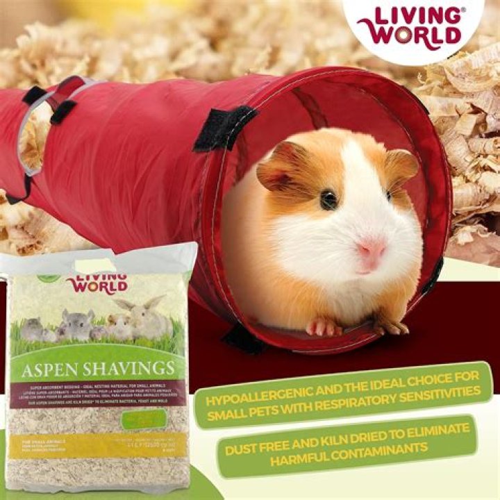 Are wood shavings safe for puppies