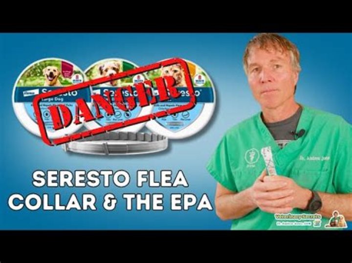 Can a Seresto collar make my dog sick