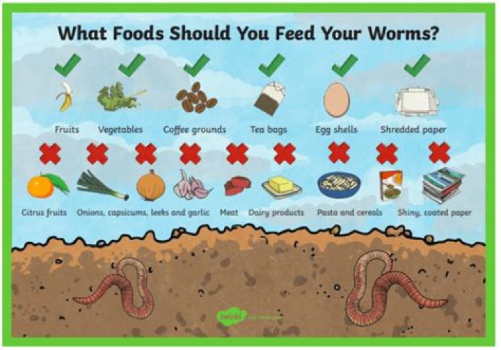 Can I add more worms to my worm farm