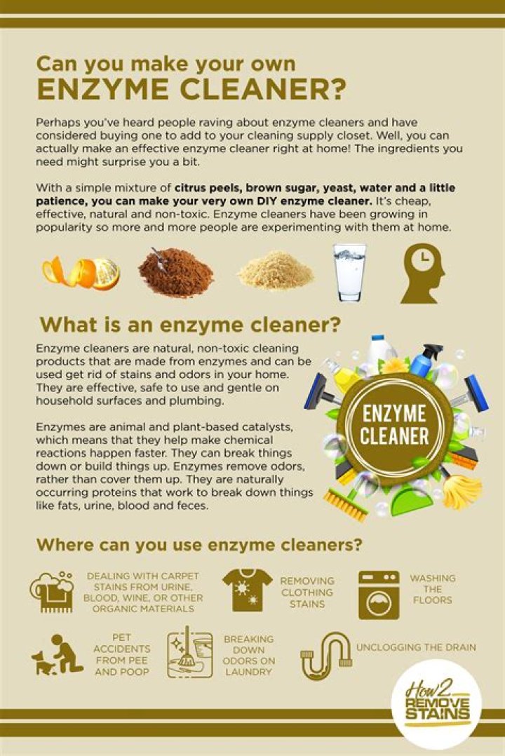 Can I make my own enzyme cleaner