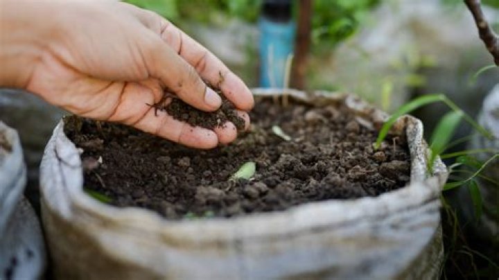 Can I mix compost with soil