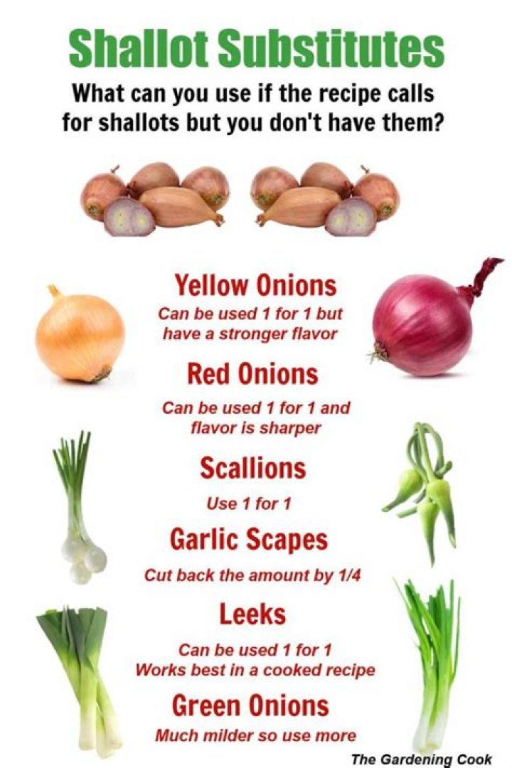 Can I substitute shallots for scallions