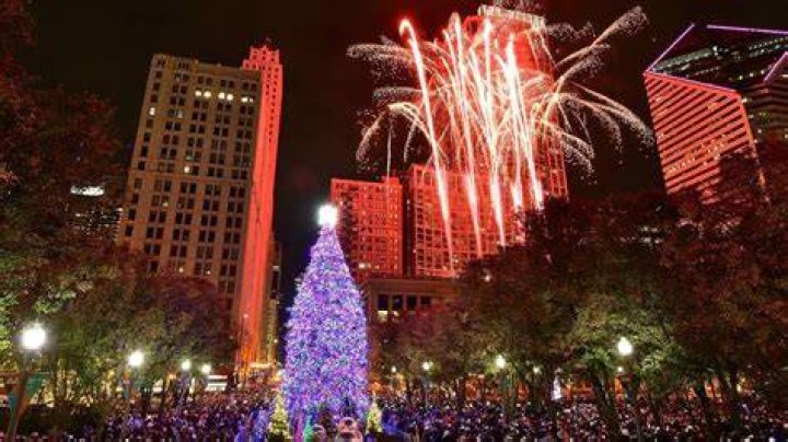 Can I throw away my Christmas tree in Chicago