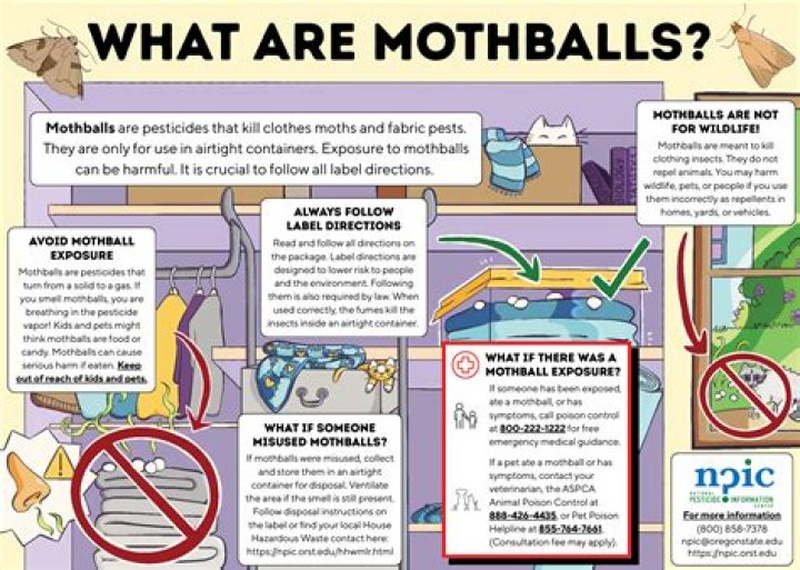 Can moth balls kill humans