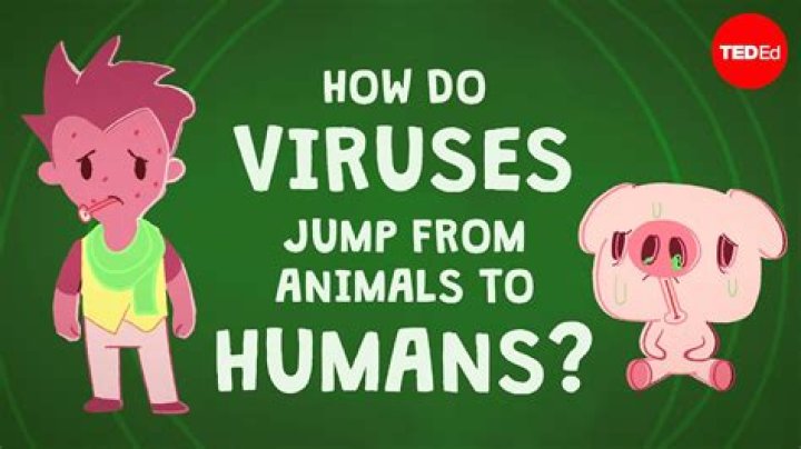 Can the flu virus live on pets