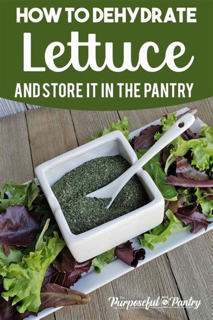 Can you dehydrate lettuce