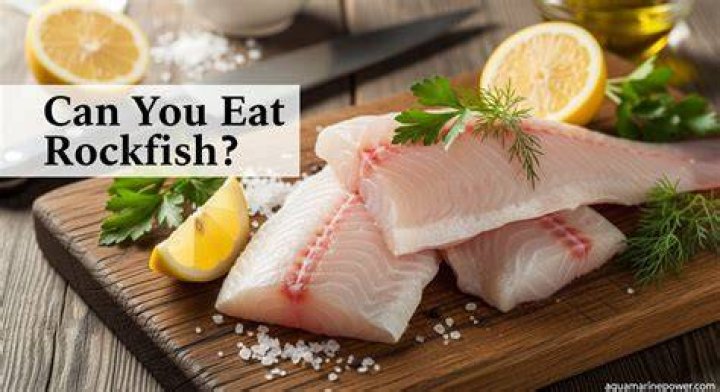 Can you eat rockfish California