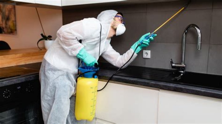 Can you put boric acid in the sink