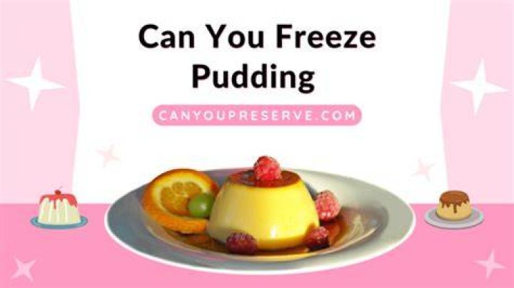 Can you put pudding in the freezer