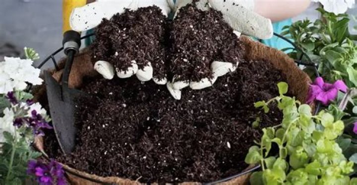 Can you reuse old potting compost