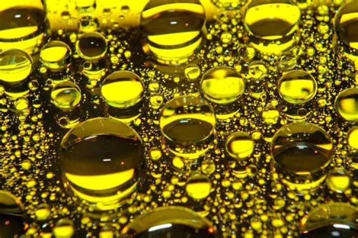 Can you run your car on cooking oil