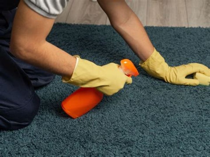 Can you use disinfectant spray on carpet