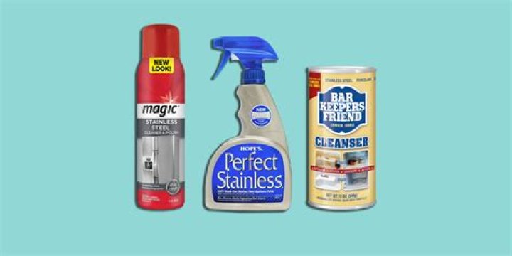 Can you use ketchup to clean stainless steel