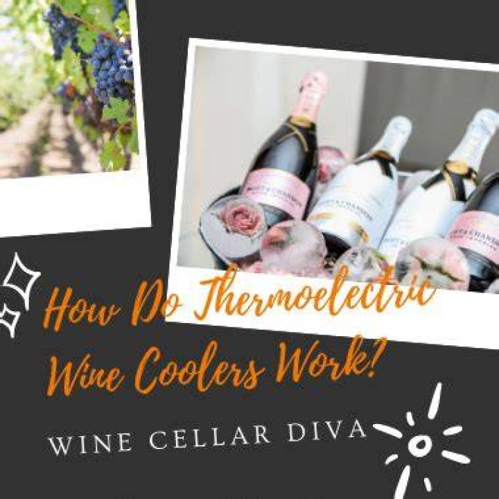 Do thermoelectric wine coolers work