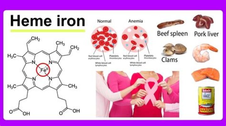 Do we need heme iron
