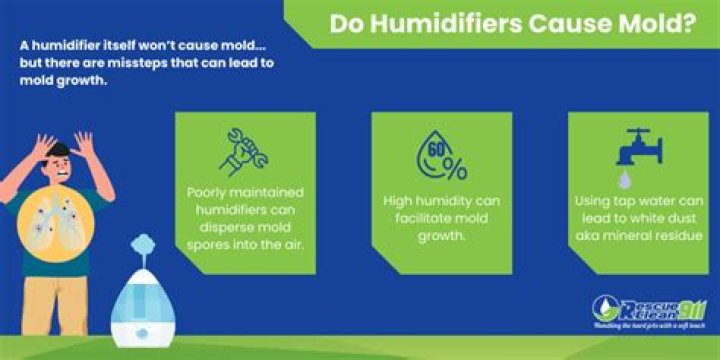 Do whole home humidifiers cause mold