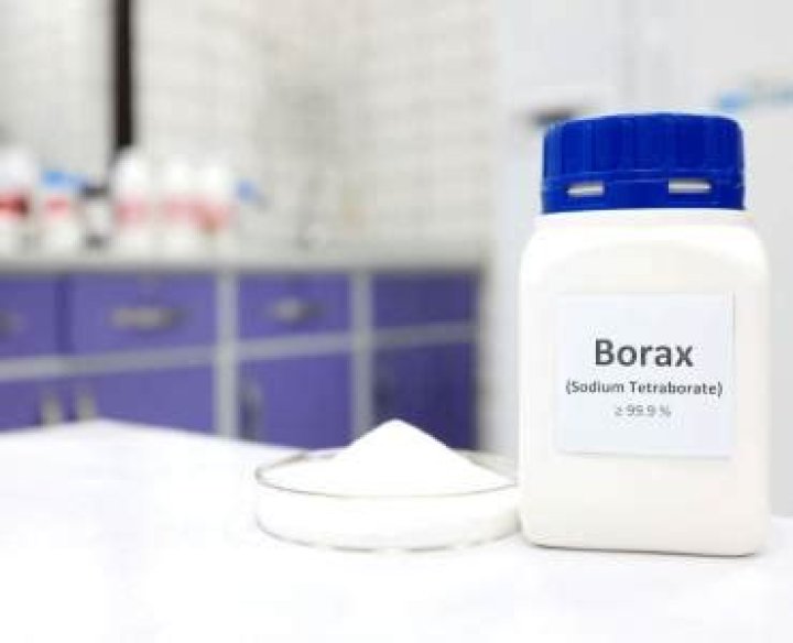 Does borax kill Mould