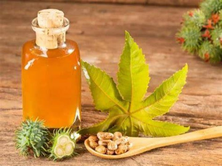 Does castor oil repel voles