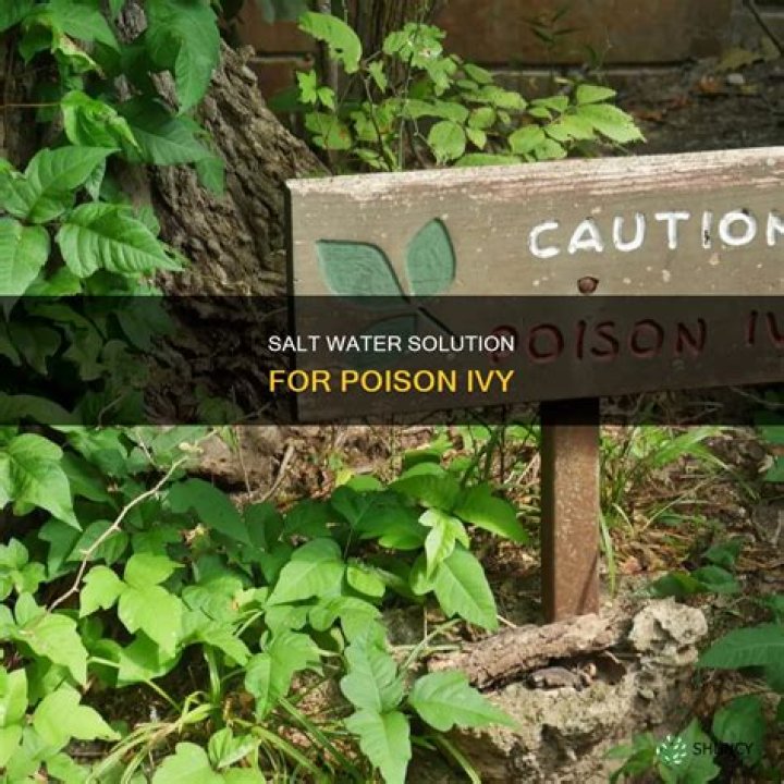 Does salt water kill poison ivy