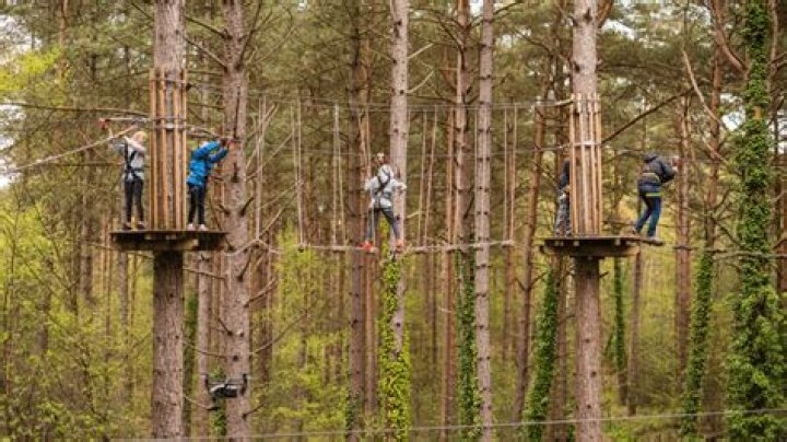 Has anyone died at Go Ape UK