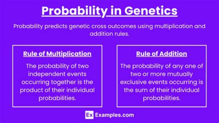 How are the principles of probability used in genetics crosses