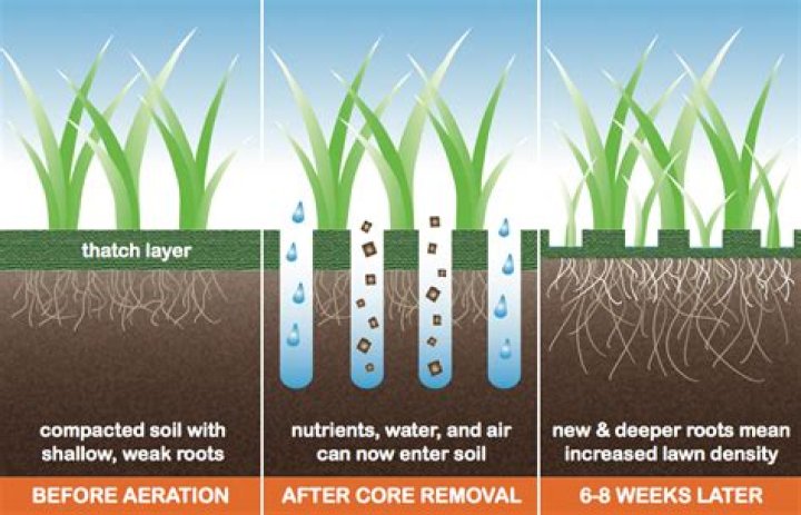 How deep should I Core aerate