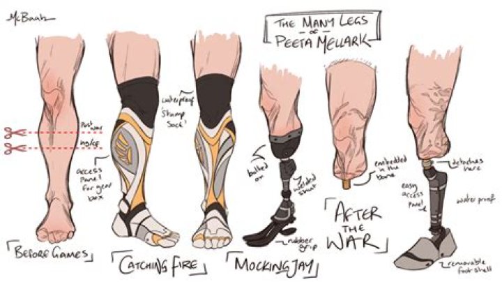 How did Gaeta lose his leg