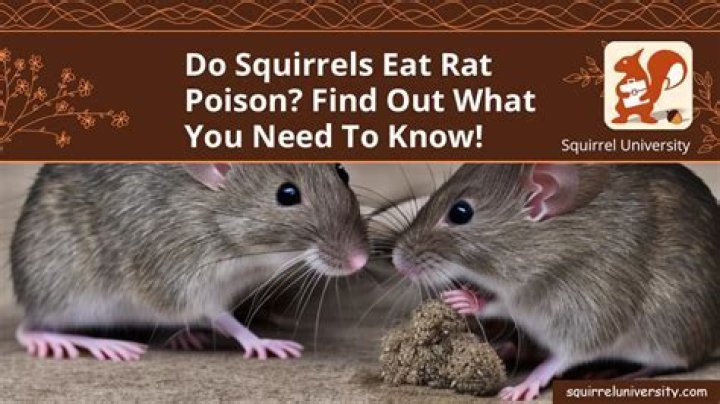 How do animals know not to eat poison