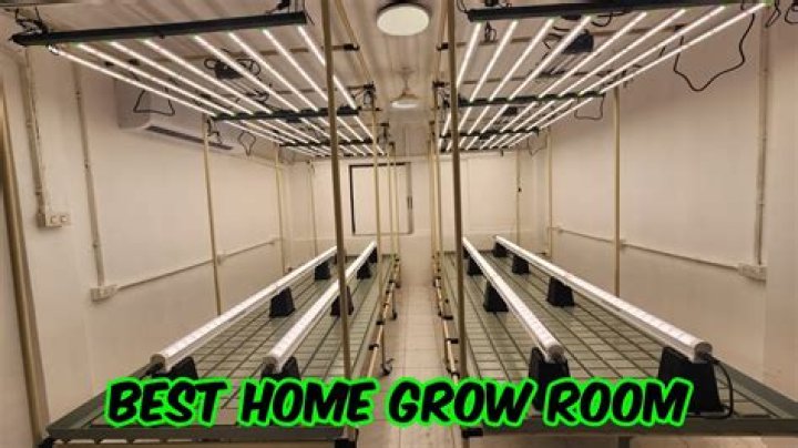How do I build a grow room in my loft