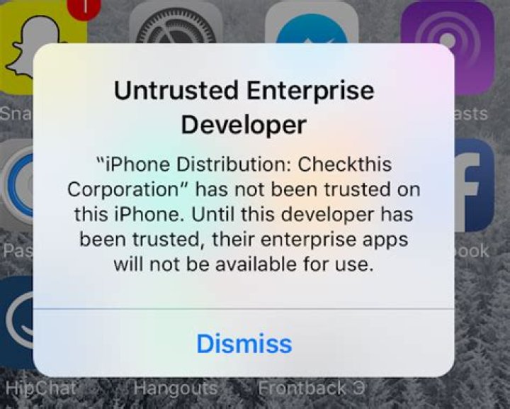 How do I fix an untrusted enterprise developer