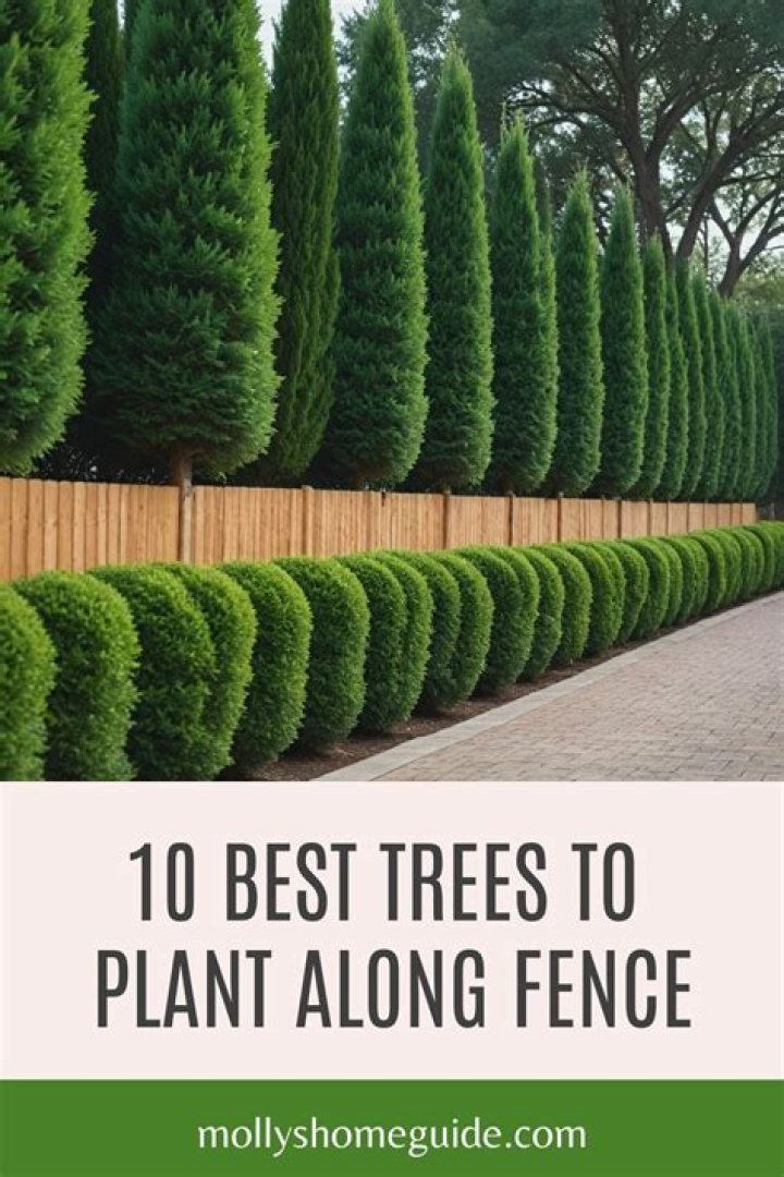 How do I get rid of small trees in my fence line