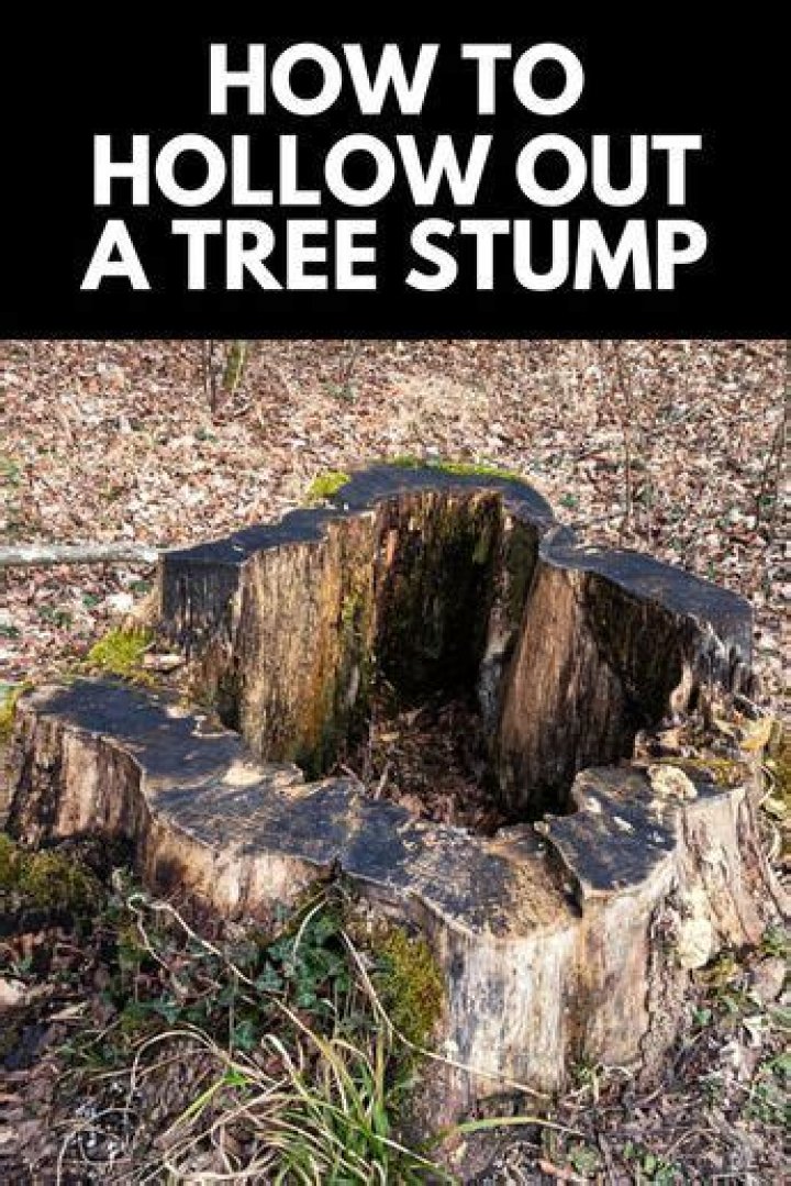 How do I hollow out a tree stump
