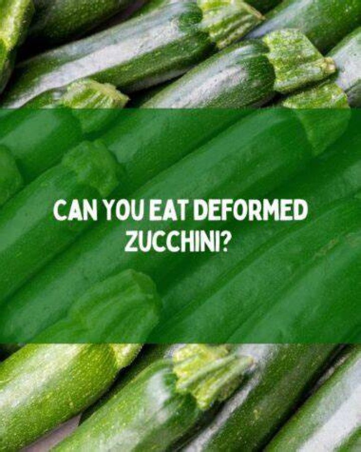 How do I keep bugs off my zucchini