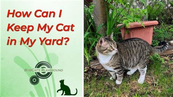 How do I keep my cat away from my baby