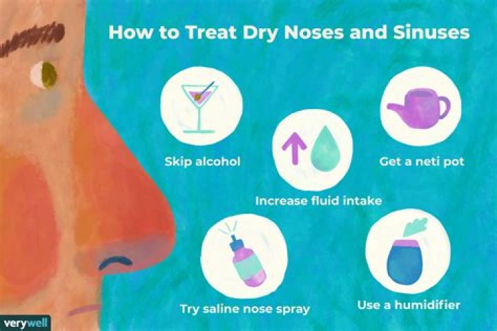 How do I keep my sinuses from drying out in the winter