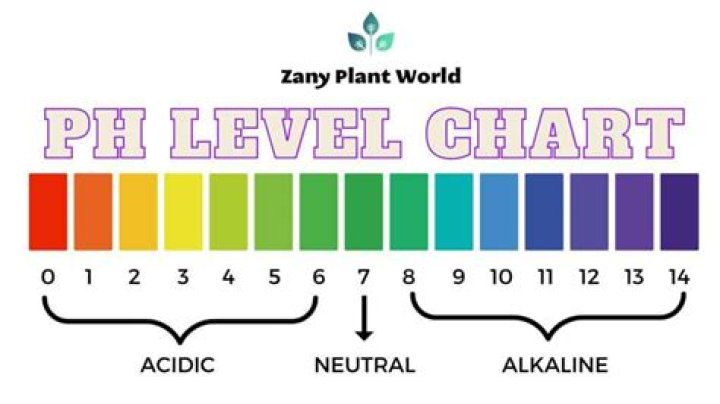 How do I lower the pH in my gardenia