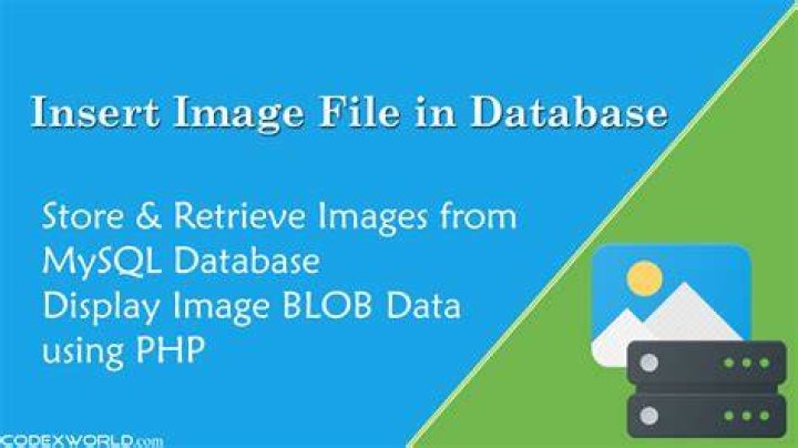 How do I remove a user from a mysql database