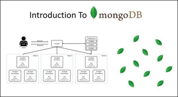 How do I use MongoDB