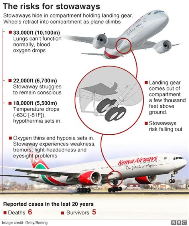 How do stowaways survive on planes