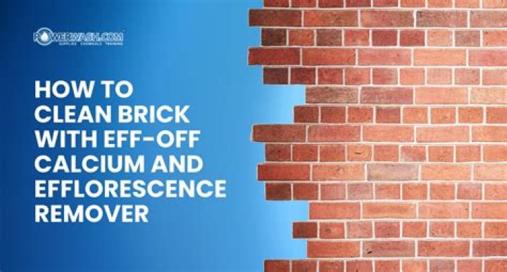 How do you clean efflorescence off bricks