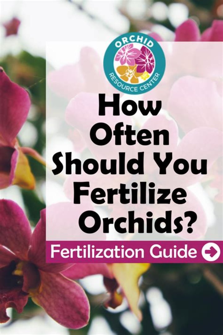 How do you fertilize orchard