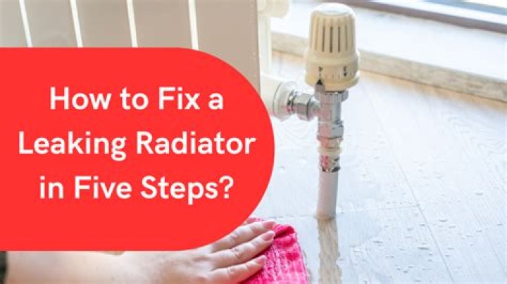 How do you fix a leaking steam radiator