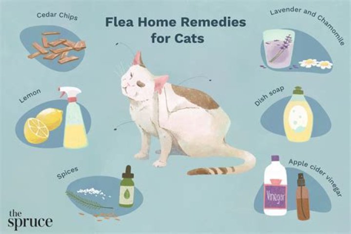 How do you make a homemade flea bath